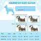Lukovee Dog Seat Belt for Car, Adjustable Dog Car Harness for Large Medium Small Dogs, Soft Padded & Breathable Mesh Dog Seatbelt with Car Strap and Carabiner(Light Blue Double Clip,XX-Small)