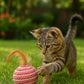 Ball for cat with Feathers - Balls for Cats – Natural Toy for Indoor Cats – Eco-Friendly, Durable, Interactive Play Balls for Kittens – Pet-Safe Chew & Scratch Toys (Red)