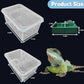 PINVNBY Reptile Feeding Box 6 PCS Snake Breeding Box Lizard Cricket Cage Habitat Hatching Container Transparent Portable Critter Keeper for Spider Scorpion Gecko Tortoise Treefrog (2 Large 4 Small)