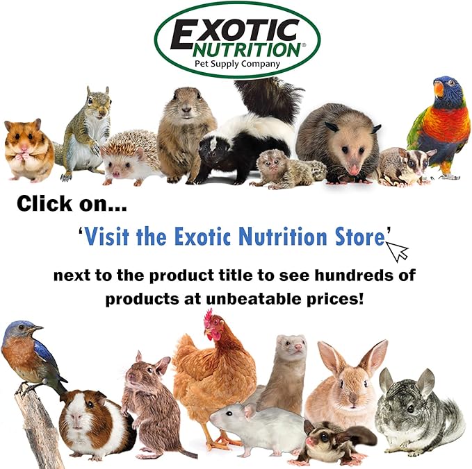 Chinchilla Booster (2 oz.) - Complete Multivitamin - Powdered Vitamin & Mineral Supplement for Pet Chinchillas