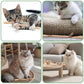 Silvervine Sticks for Cats 8 Pack Natural Cat Chew Toy Teeth Cleaning Edible Matatabi Dental Care Kitty Chew Sticks Catmint Cat Nip Treat Stick for Bored Indoor Kitty Calm Anxiety and Stress