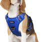 Funfox Dog Harness No Pull, Adjustable Pet Vest Harness, Super Soft Material with Vertical Handle Easy Control, Reflective Night Walking, 2 Leash Clips for Medium Sized Dogs, Blue, M