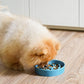LE TAUCI Ceramic Slow Feeder Dog Bowls Small Breed, 0.6 Cups Dog Food Dish for Fast Eaters, Puzzle Bowl for Small Dogs and Cats,Vortex Blue