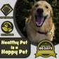 H&H Pets Bamboo Toothbrush Set for Dogs and Cats - Ultra Soft Bristles & Biodegradable Wooden Toothbrush, Puppy Supplies, Dog Dental Set, Eco-Friendly Pet Supplies (Small; 8-Count Pack)
