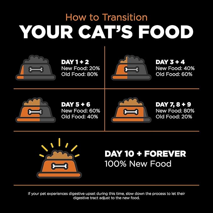 Go! Solutions Skin + Coat Care, Grain-Free Dry Cat Food, Salmon Recipe, 8 lb Bag