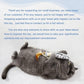 Snowlove 3-Pack Cute Catnip Feather Toys with Silvervine Rope & Bells