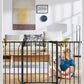 29"-51" Baby Gate for Stairs, Auto Close Stroller Friendly Dog Gate Indoor for Doorways, Pressure Mounted Baby Gate, Easy Walk Through Gate for Children & Pets, Black