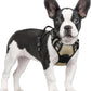 rabbitgoo Dog Harness No Pull with 2 Leash Clips, Adjustable Soft Padded, Reflective Oxford No Choke Pet Vest with Easy Control Handle for Small Dogs, Beige, S
