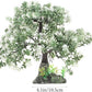 POPETPOP Aquarium Bonsai Tree Plant: Artificial Plants Flower Ornament - Fish Bowl Ornament for Freshwater and Saltwater Decor 4.13 X 2.36 X 10.62 Inch