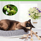 Silvervine Chew Sticks for Cats, 10 Pack Natural Catnip Chew Toys for Kittens Teeth Cleaning, Matatabi Dental Care, Increase Appetite, Calm Cat Anxiety and Stress, Aggressive Chewers Cat Dental Toy