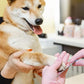 Dog Nail Filer, Professional Nail Grooming Tool, Dog and Cat Nail Files, for Smoothing Rough Edges of Pet’s Nails, Best Nail Filer for Small/Large Dogs & Cats (3 Dog Nail Filers Set)