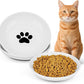 Ceramic Cat Food Bowls - 2 Pack Shallow Plates for Wet Food, Whisker-Friendly Feeding Dish with Non-Slip Silicone Base, Microwave & Dishwasher Safe for Indoor Cats & Kittens
