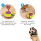 Outward Hound by Nina Ottosson Dog Treat Maze Dog Puzzle Enrichment Toy, Level 2 Intermediate, Green