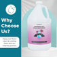 Steam & Go Deminerilized Water - Multi-Surface Cleaner for Steam Cleaners, Hardwood Floors, Kitchens, & Bathrooms - Germ-Killing Formula - Hotel California Scent - 1 Gallon