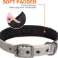 Fida Heavy Duty Dog Collar, Ultra Comfortable Soft Neoprene Padded, Adjustable Reflective Nylon Pet Collar with Durable Metal Belt Buckle for Medium Breeds (M, Grey)