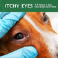 Dog Eye Drops, Eye Cleaner for Dogs & Cats Supports Eyes Infection Relief, Redness & Allergy Eyes Relief, Remove Tear Stain & Eye Debris - Pet Eye Gentle Care Supplement Cats Drops for Eyes - 2 fl oz…