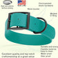 Dogline Biothane Waterproof Dog Collar Strong Coated Nylon Webbing with Black Hardware Odor- Proof for Easy Care Easy to Clean High Performance Fits Small Medium or Large Dogs, Blue Aqua