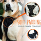 Mighty Paw Dog Car Harness - Vehicle Safety Gear - 2 Leash Attachment - Adjustable Straps - Reflective Stitching - Soft Padding - Standard Harness Functionality - No Pull Front Leash Attachment - S