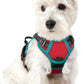 rabbitgoo Dog Harness No Pull with 2 Leash Clips, Adjustable Soft Padded, Reflective Oxford No Choke Pet Vest with Easy Control Handle for Puppy, Red & Teal, XS