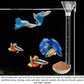 Aquarium Fish Shrimp Feeding Dish Set, Shrimp Feeding Dish Set, Transparent Shrimp Feeding Adjustable Tube with Feeding Ring, Cleaning Brush for Fish Tank and Preventing Food Scattering (Large)