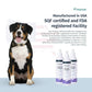 Luxury Male Pet Cologne - Fresh Lavender Scent, 3-in-1 Formula Conditions & Moisturizes, Made with 94% Natural Ingredients, Long Lasting Fragrance, Safe & Easy to Use | 8 fl oz