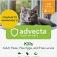 Plus Flea Prevention For Cats, Cat and Kitten Treatment & Control, Small and Large, Fast Acting Waterproof Topical Drops, 4 Month Supply
