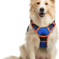 rabbitgoo Dog Harness No Pull with 2 Leash Clips, Adjustable Soft Padded, Reflective Oxford No Choke Pet Vest with Easy Control Handle for Medium Sized Dogs, Blue & Orange, M