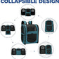 Apollo Walker Dog & Cat Carrier Backpack for 4-15lb Pets - Ventilated Safe Design with Padded Back Support, Breathable Mesh Pet Backpack for Hiking, Travel, Outdoor (Teal)