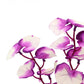 Silk Aquarium Plants for Betta Fish Tank, 2 Pcs 8 Inch Small Silk Aquarium Plant Aquatic Water Grass Decoration,Purple-White
