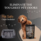 Luxe Carpet Freshener Powder: Powerful Odor Eliminator for Home, Upholstery Deodorizer, Carpet Deodorizer, Pet Urine, Cat Litter Box - Diva Fragrance