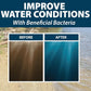 Airmax Pond Dye Plus, Nature's Blue Colorant & Natural Beneficial Bacteria, Large Pond & Lake Water Clarifier & Color Treatment, Shade Plants & Algae from Sunlight, Fish & Livestock Safe, 4 Gallons