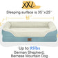 Washable Orthopedic Large Dog Bed - Dog Beds Large Sized Dogs with Removable Cover Waterproof Orthopedic XL Pet Bed with Bolster