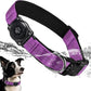 Upgraded AirTag Dog Collar, IP68 Waterproof Air Tag Dog Collar Holder, Reflective, Ultra-Durable, Comfortable Padded, Heavy Duty Dog Collars for Small Medium Large Dogs (L (14.8"-20.3"), Purple)