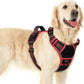 Eagloo Dog Harness for Large Dogs, Easy Wearing with 3 Buckles, Adjustable No Pull Pet Harness with 2 Rings for Walking, No Chock Reflective Soft Padded Vest with Control Handle, Black & Red, L