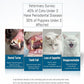 E.M&S.T by Emmeliestella Small Dog & Cat Toothbrush Micro Head, Cat Dental Care, Pets Toothbrush, Oral Hygiene, Easy to Handle, Deep Clean, Extra Soft Bristles, Independent Packaging, Blue&Pink 3PCS