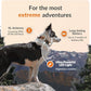 Weenect Dog XT - New GPS Collar for Dogs | XL Antenna | Waterproof | Ultra-Durable Integrated Julius-K9 Collar | Subscription Required