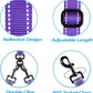 PetBonus Double Dog Leash, No Tangle Dual Leash, Reflective Walking Training Lead, 4 Comfortable Padded Handles for 2 Dogs with Collapsible Bowl and Waste Bags (Purple, Large)