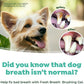TropiClean Oral Care Brushing Gel for Dogs & Cats| Dog Toothpaste | Pet Dental Gel | Dog Teeth Cleaning Use with Pet Toothbrush | 2 oz