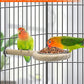 KATUMO Bird Perch Feeding Cup Birds Platform Parrot Wood Perch Stand Toy Cage Accessory for Parakeet Lovebird Cockatiel Conure Budgie Small Parrots (L Perch (Pack of 2))
