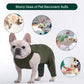 Kuoser Thigh Wound Protective Sleeve for Dogs, Dog Surgery Recovery Suit for Rear Legs, Dog Recovery Sleeve for Female Male Dogs, Dog Onesie After Surgery Pet Surgical Suit for Spay Neuter, Green