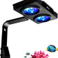 Aquarium Light –A036 Reef Tank Light 36 Watts Saltwater Light with Touch Control, Reef Lights for Coral Reef Nano Fish Tank Marine Tanks with Timer & Screen