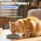 [8 Pack] Ceramic Cat Food Bowl, Colorful Cat Bowls Whisker-Friendly, 5.9" Shallow Wide Kitten Plates, Easy to Clean Indoor Feeding Dishes
