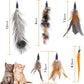 Retractable Cat Wand Toys - Interactive Feather Wand with Bell for Indoor/Outdoor Cats, 8 Pack