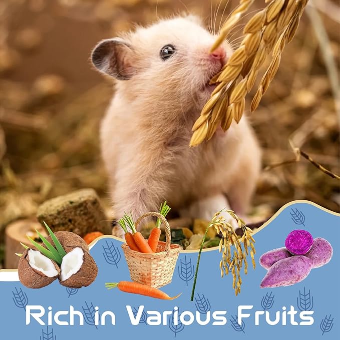 Garden Fruit & Vegetable Hamster Food Mix Natural Small Pet Food Made for Hamsters 1LB Critical Care Healthy Dwarf Hamsters Feed New Packaging