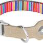AirTag Dog Collar for Small Medium Large Breed - Adjustable Cute Pattern Dog Collar with Airtag Holder - Soft Leather Tracker GPS Apple Air Tag Pet Collars (X-Small, 9"-12" Neck Fit, Serape)