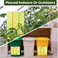Qualirey Giant Sticky Fly Traps,30 Feet Fly Strips for Indoor Outdoor Hanging Flying Tapes Non Toxic Ribbon Fruit Gnat Killer for Mosquito Plants House Horse Stable (Yellow,1 Pcs)