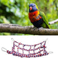 2 Pack Large Colorful Bird Rope Net, 14 × 10 Inches Rat Climbing Rope Net, Pet Hanging Hammock, Bird Ladder Rope Bridge, Small Animal Rope Net Toy, Cage Accessories for Rat Hamster Bird Ferret
