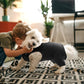 Nanaki Dog Wound Care Shirt, Leg Sleeves to Stop Licking Rear Leg and Abdomen, Surgery Suit for Female Spay, Onesie for Surgery Female, Surgical Recovery Suit Wound Heal Clothes