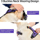 IVY&LANE No Pull Dog Harness for Small Dogs, Dog Vest Harness with Leash, Safety Belt and Storage Strap, Fully Adjustable Harness, 360° Reflective Strip, Soft Handle (Purple, S)