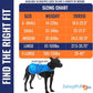 Dog Reflective Vest – Hi-Vis Fluorescent Visibility That Helps to Safeguard Your Pet On/Off Leash in Urban & Rural Areas (Blue, Large)